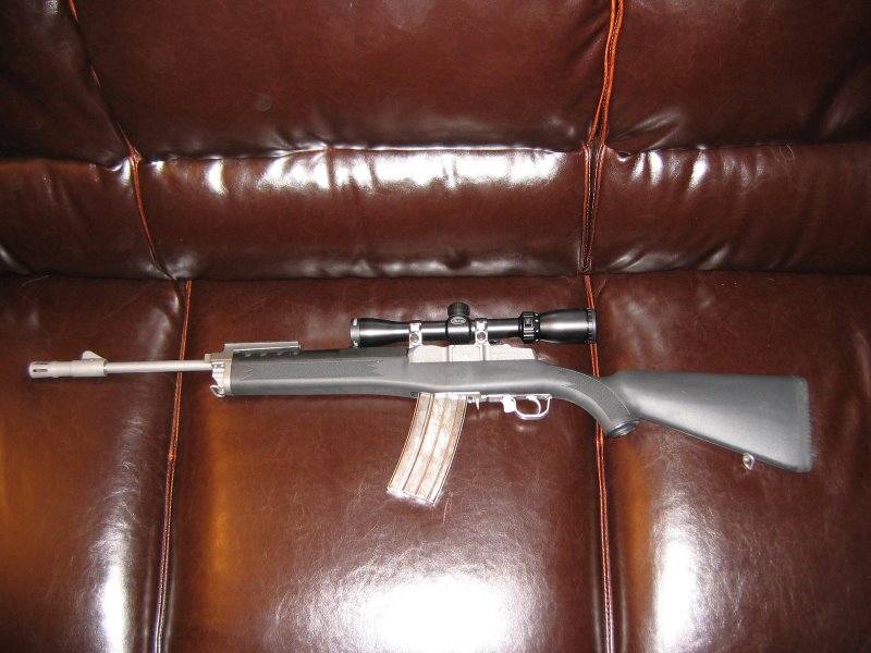 Ruger Mini 14. Ruger Mini 14 with scope